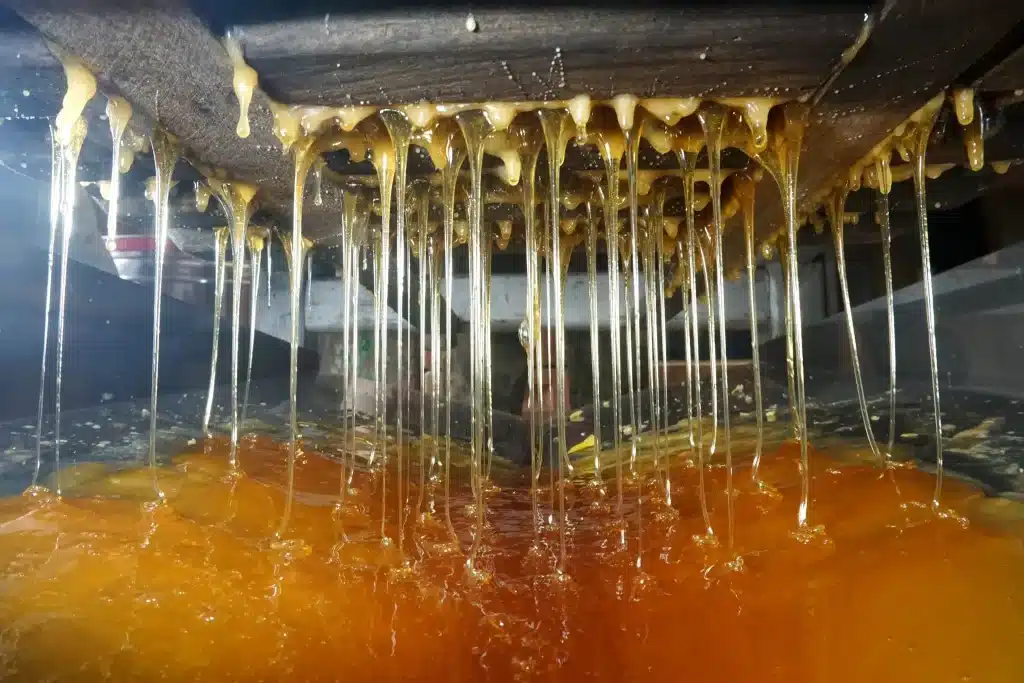 New-Water-Capital-Dutch-Gold-Honey-Portfolio-Company2